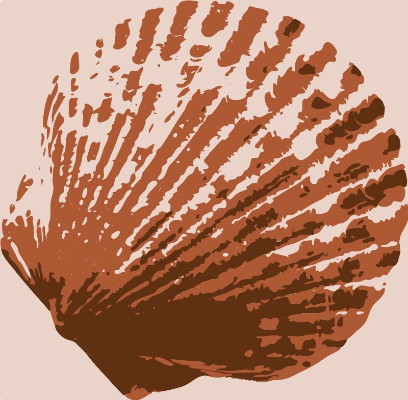 Stencil of Scallop Shell