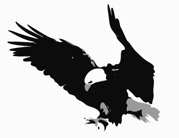 Stencil of Bald Eagle