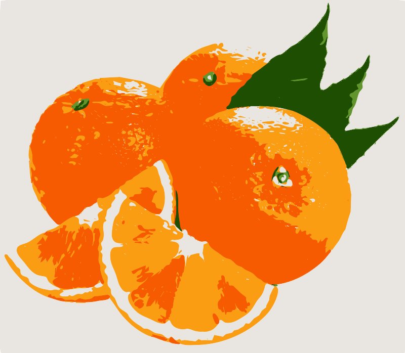 Stencil of Orange