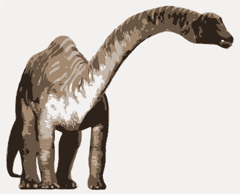 Stencil of Diplodocus