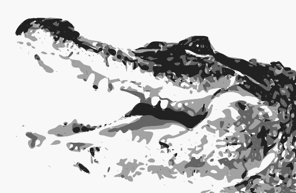 Stencil of Alligator