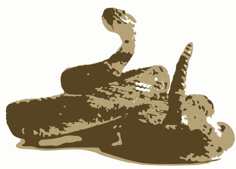 Stencil of Rattlesnake Tail