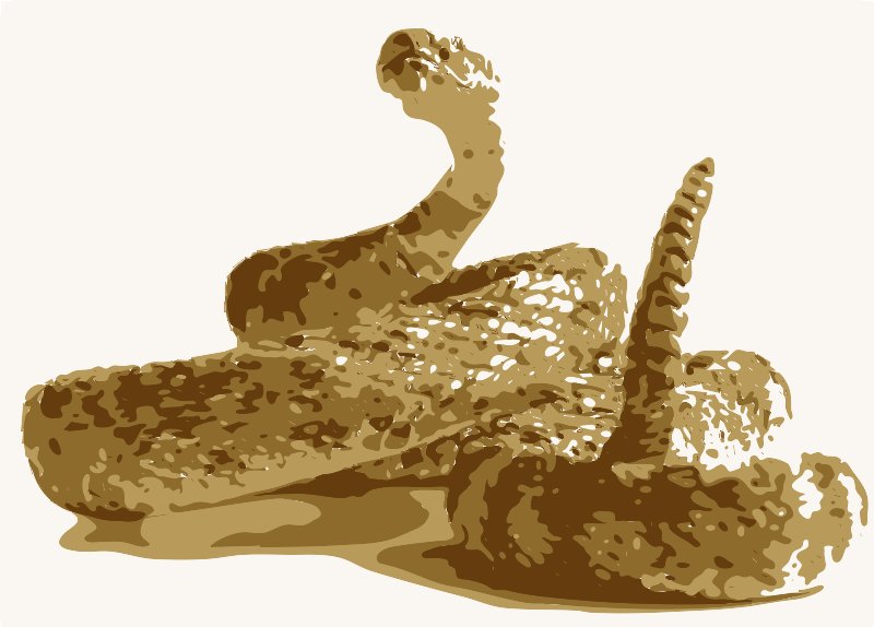 Stencil of Rattlesnake Tail