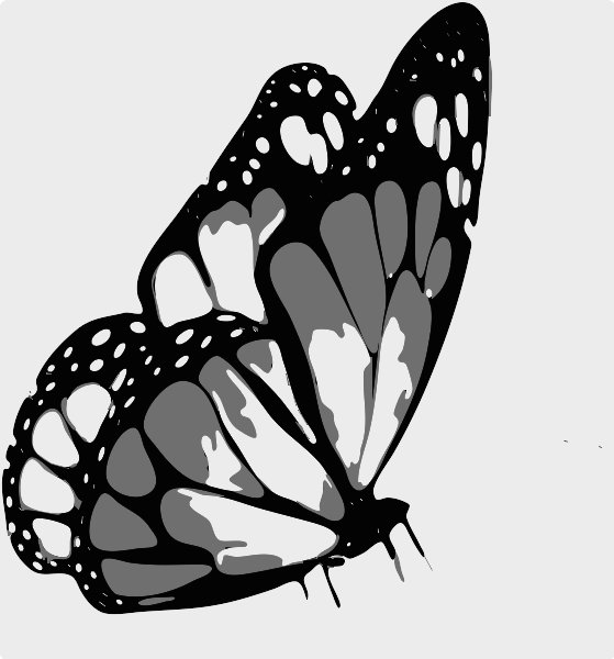 Stencil of Butterfly