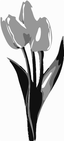 Stencil of Tulips