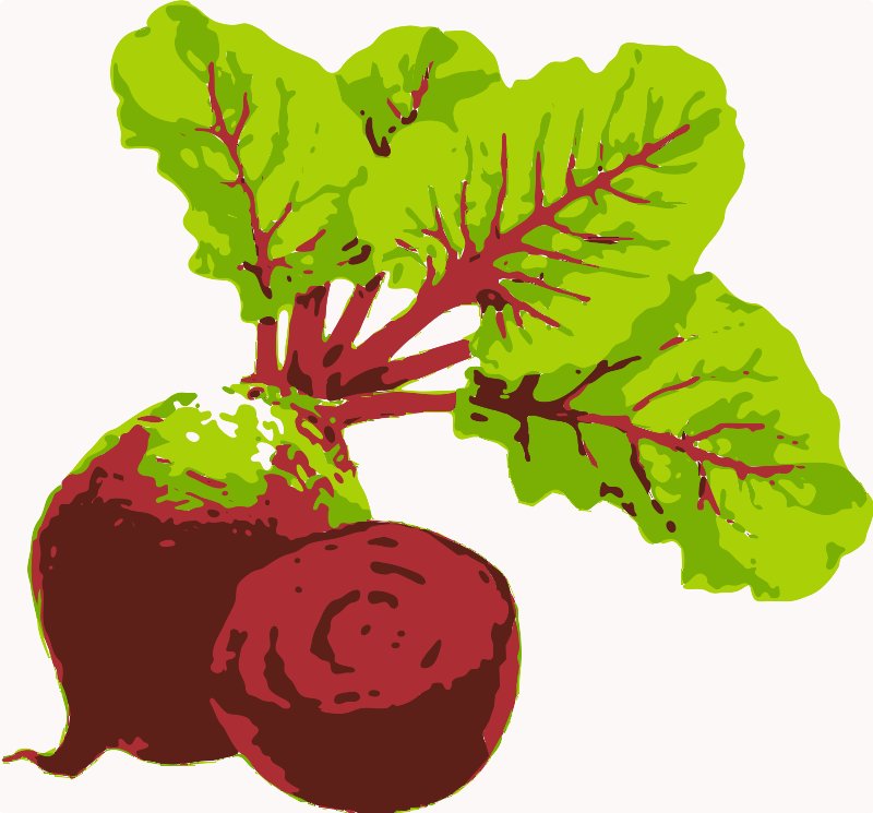 Stencil of Beets