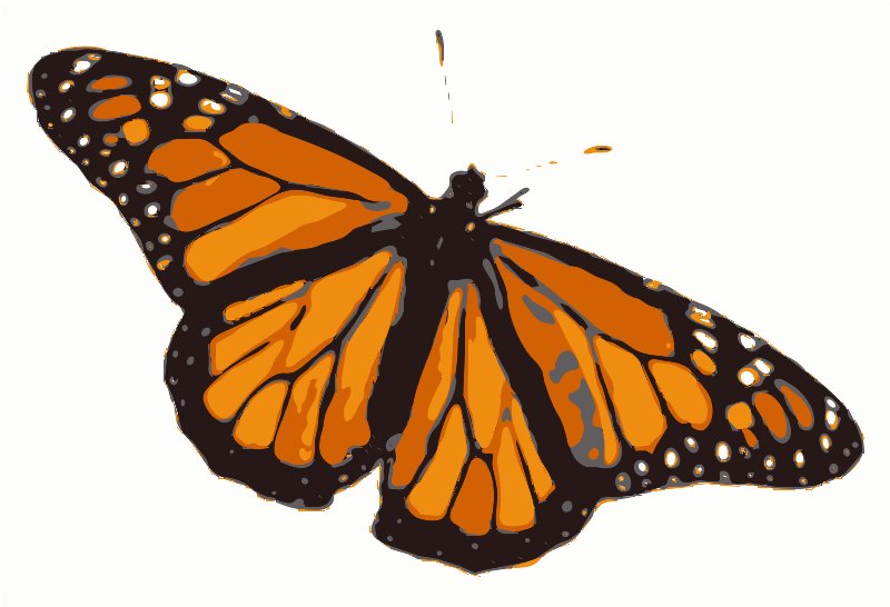 Stencil of Monarch Butterfly