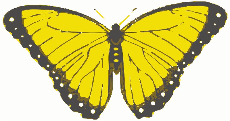 Stencil of Butterfly