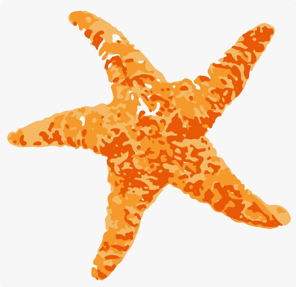 Stencil of Starfish