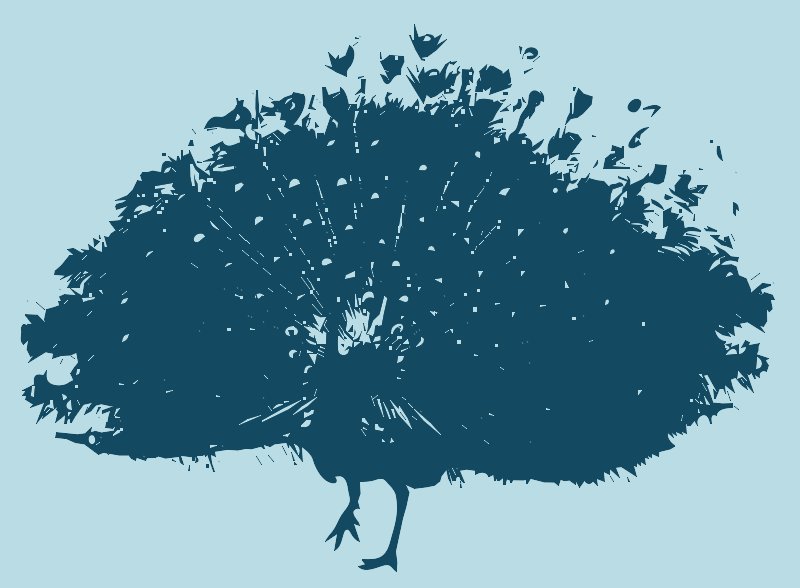 Stencil of Peacock Plumage