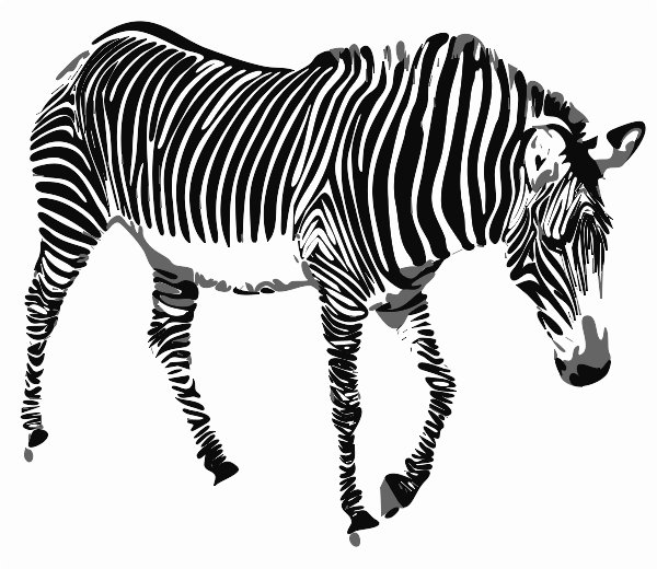 Stencil of Zebra