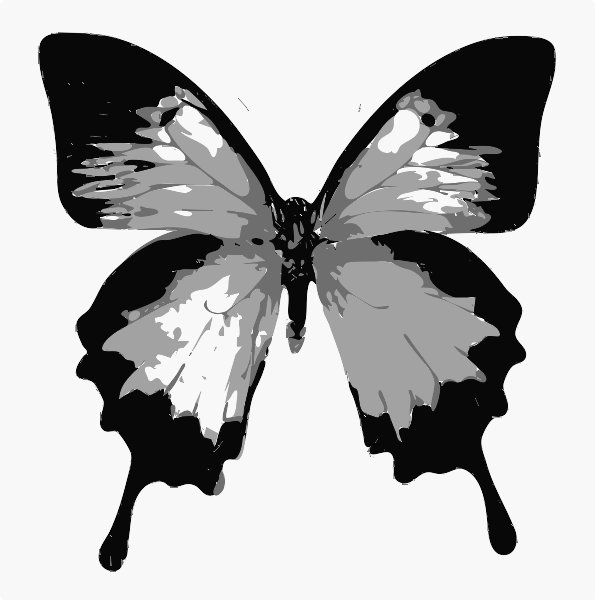 Stencil of Ulysses Butterfly