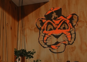 Auburn University logo stenciled onto a wall using a bridged stencil