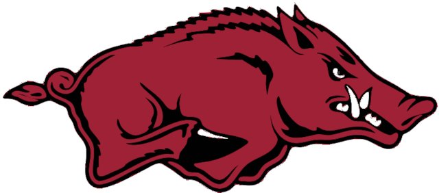 Stencil of Arkansas Razorbacks