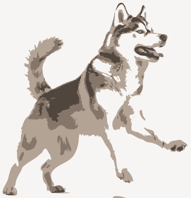 Stencil of Husky