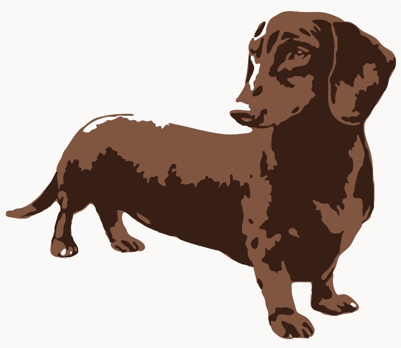 Stencil of Dachshund in Grey