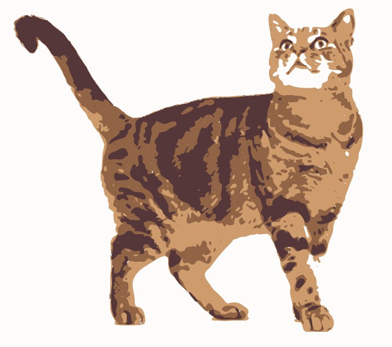 Stencil of Tabby Cat