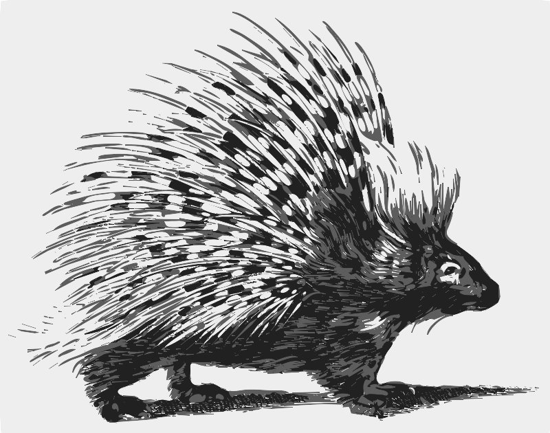 Stencil of Porcupine