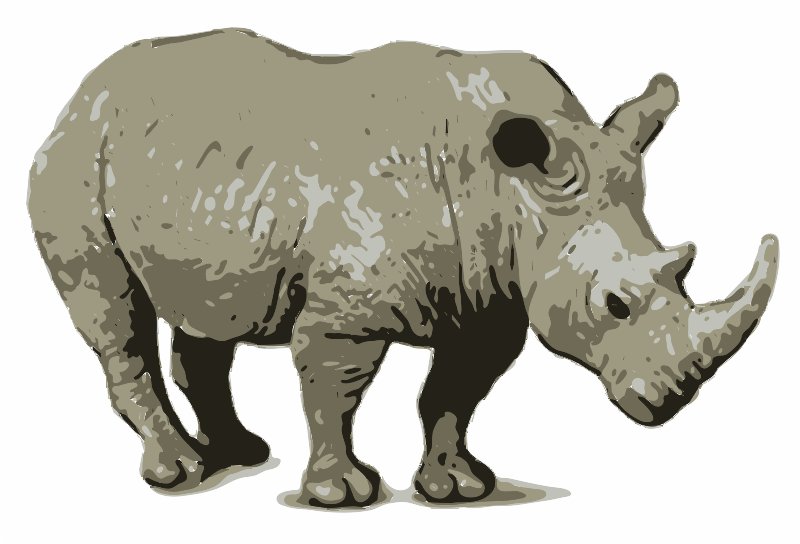 Stencil of Rhinocerous