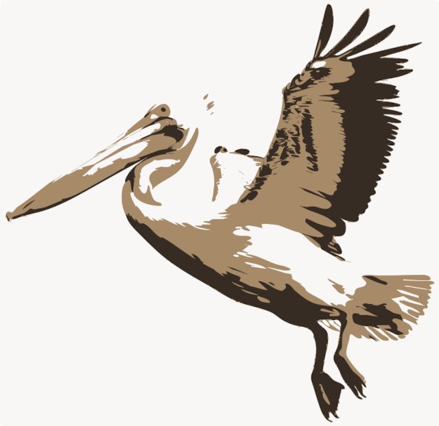 Stencil of Pelican