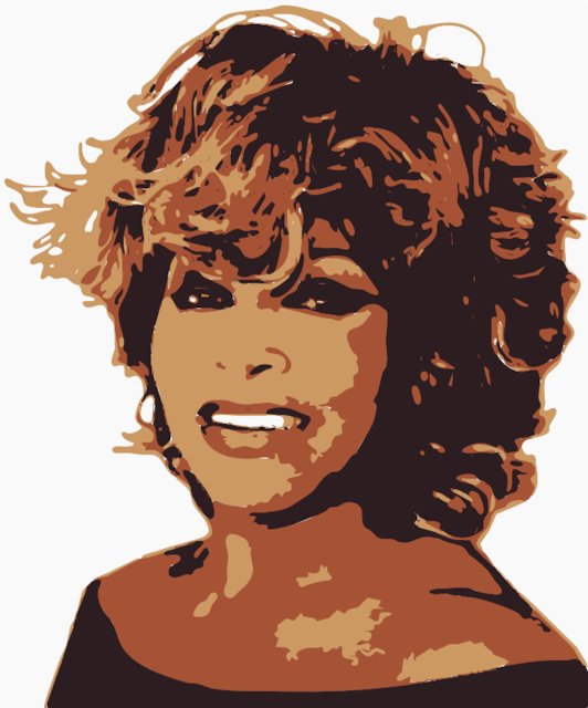 Stencil of Tina Turner