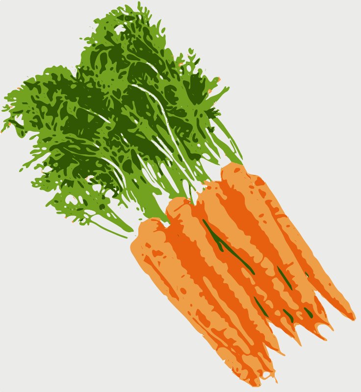Stencil of Carrots