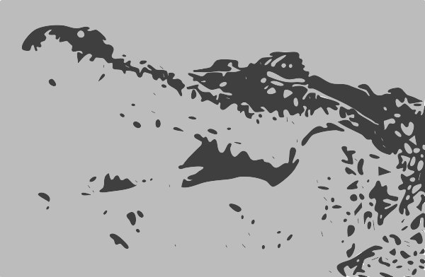 Stencil of Alligator