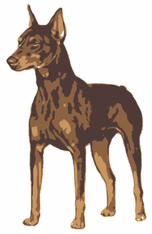 Stencil of Doberman Pinscher