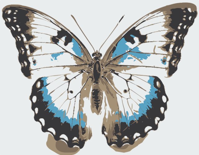 Stencil of Blue Clipper Butterfly