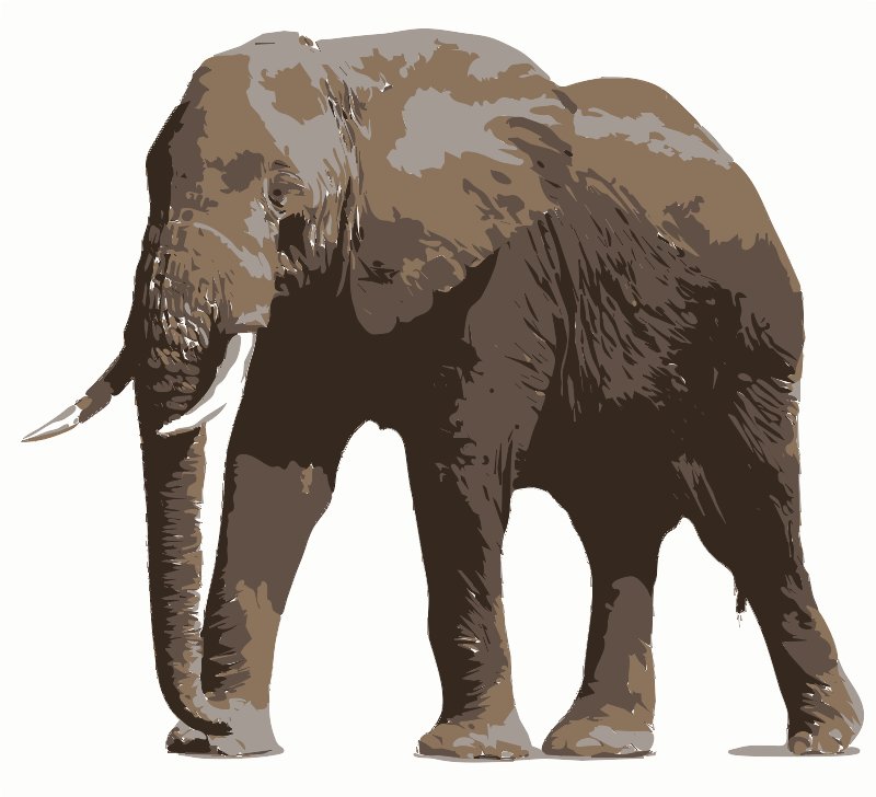Stencil of African Elephant