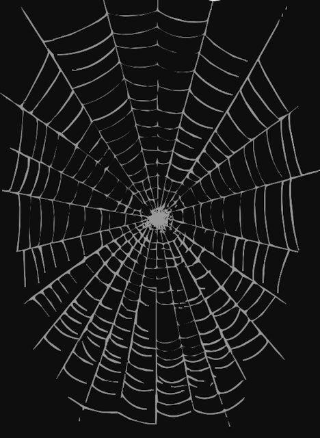 Stencil of Spider Web