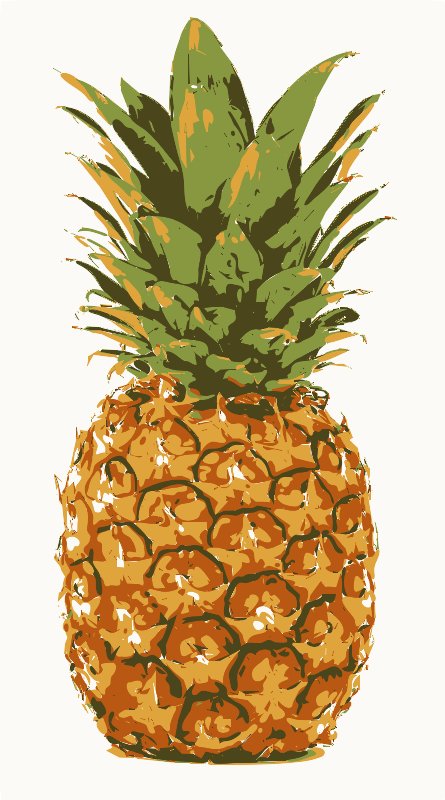Stencil of Pineapple