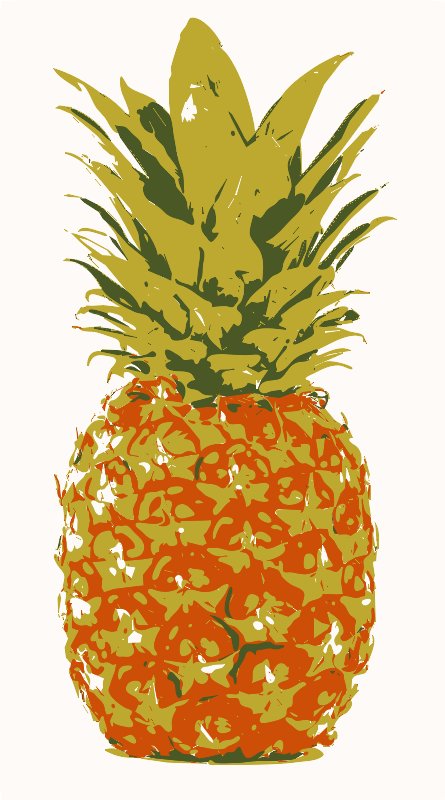 Stencil of Pineapple