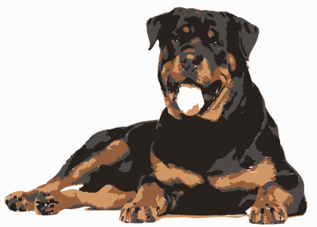 Stencil of Rottweiler