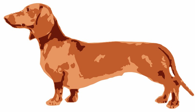 Stencil of Dachshund Profile