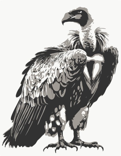 Stencil of Vulture