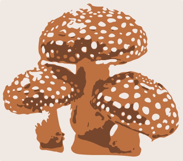 Stencil of Amanita Mushrooms