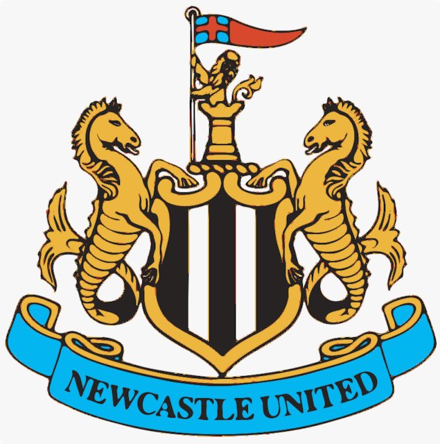 Stencil of Newcastle United