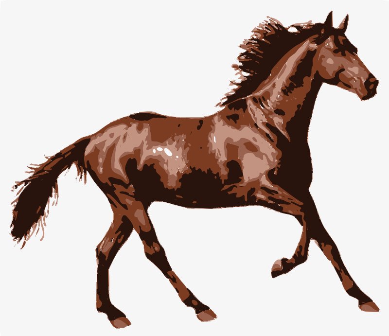 Stencil of Horse