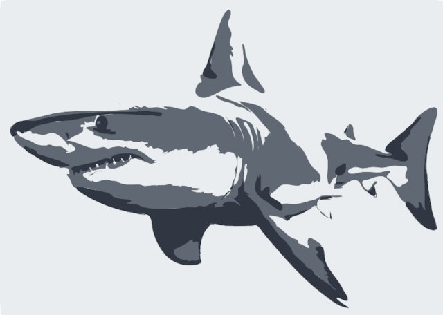 Stencil of Shark