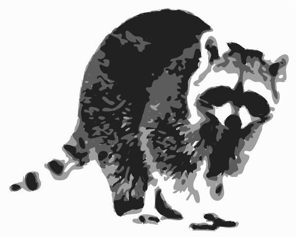 Stencil of Raccoon