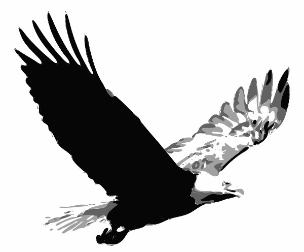 Stencil of Bald Eagle