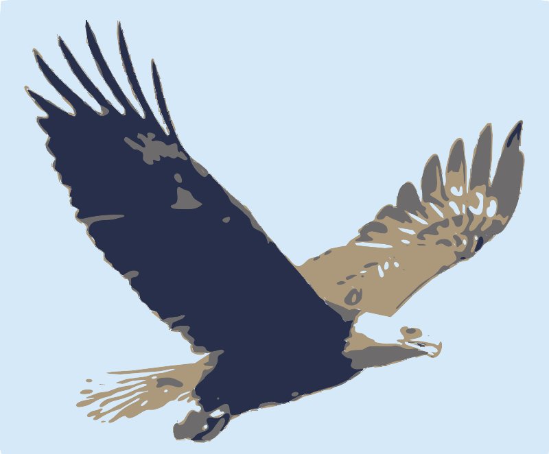 Stencil of Bald Eagle