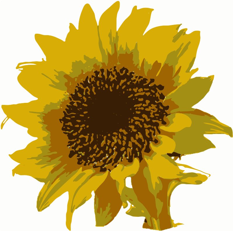 Stencil of Sunflower in Colors