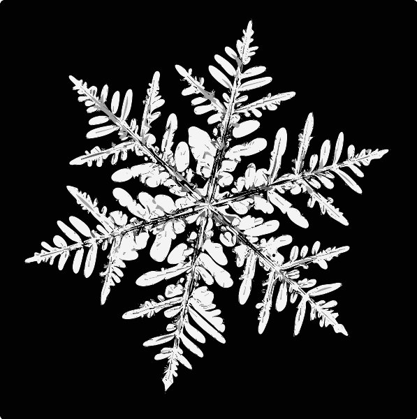 Stencil of Snowflake 1