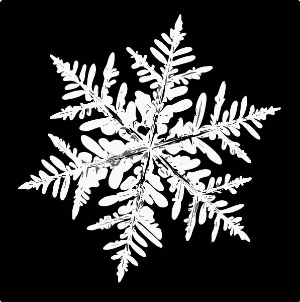 Stencil of Snowflake 1