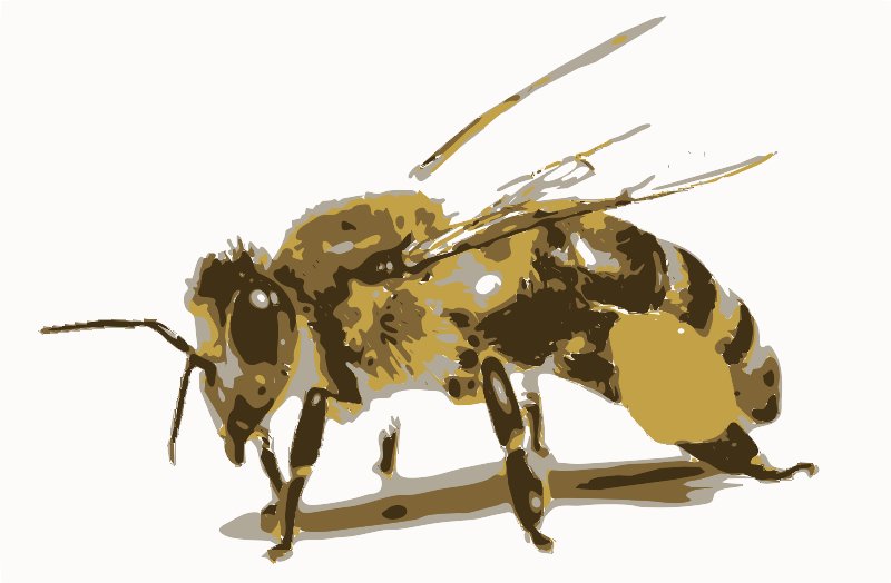 Stencil of Honey Bee