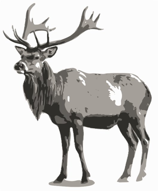 Stencil of Elk