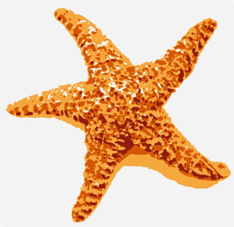 Stencil of Starfish