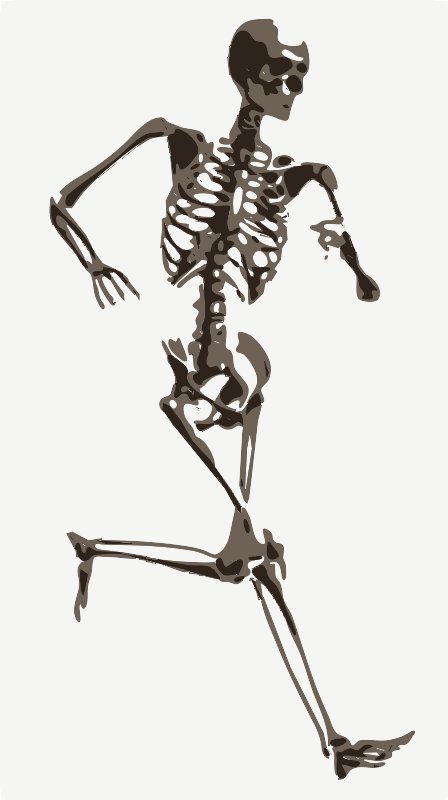 Stencil of Skeleton Running